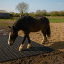 Heavy-Duty Ground Stabilisation Grids – Mud-Free Solution for Horses, Farms & Vehicles