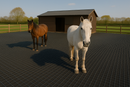 Heavy-Duty Ground Stabilisation Grids – Mud-Free Solution for Horses, Farms & Vehicles