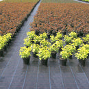 100gsm Weed Control Fabric Membrane Heavy Duty For Slab And Shade Base
